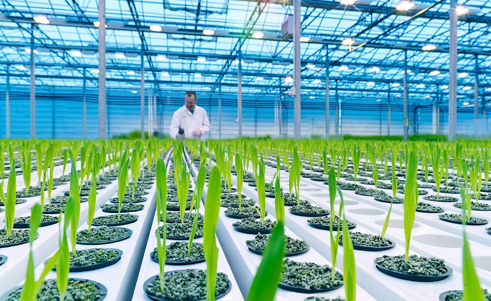 مراحل خرید مدرک مهندسی تولیدات گیاهی