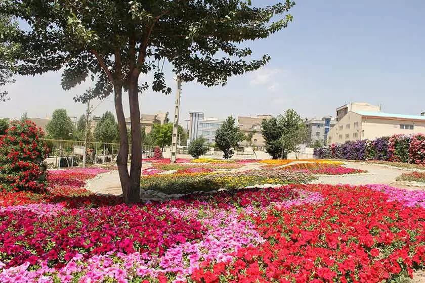 خرید مدرک تحصیلی در استان مرکزی ، صد در صد معتبر