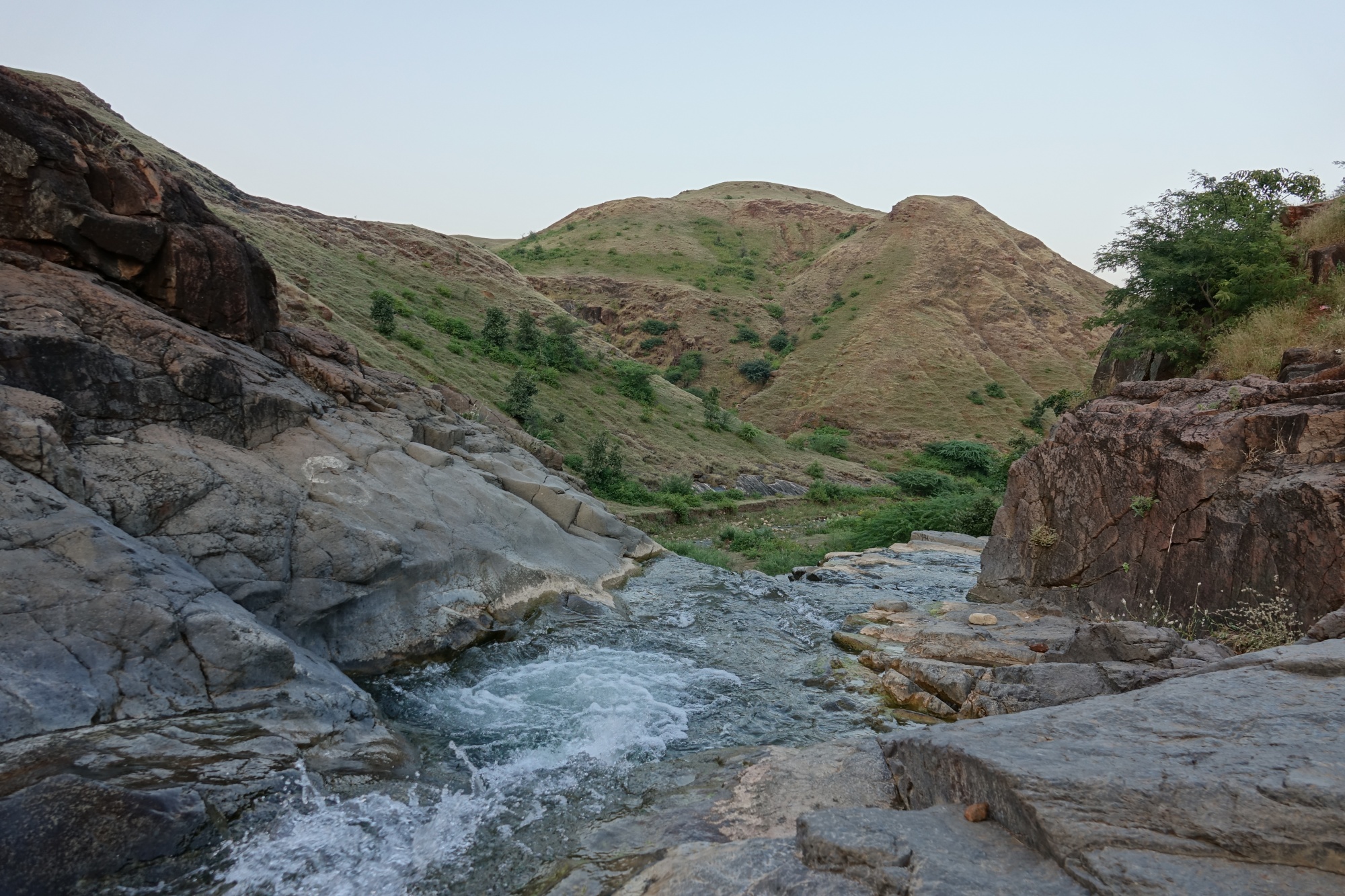مزایای خرید مدرک تحصیلی در کهگیلویه و بویراحمد