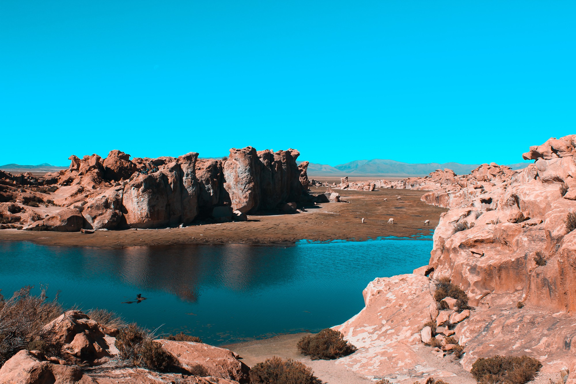 سوالات متداول خرید مدرک تحصیلی در کهگیلویه و بویراحمد