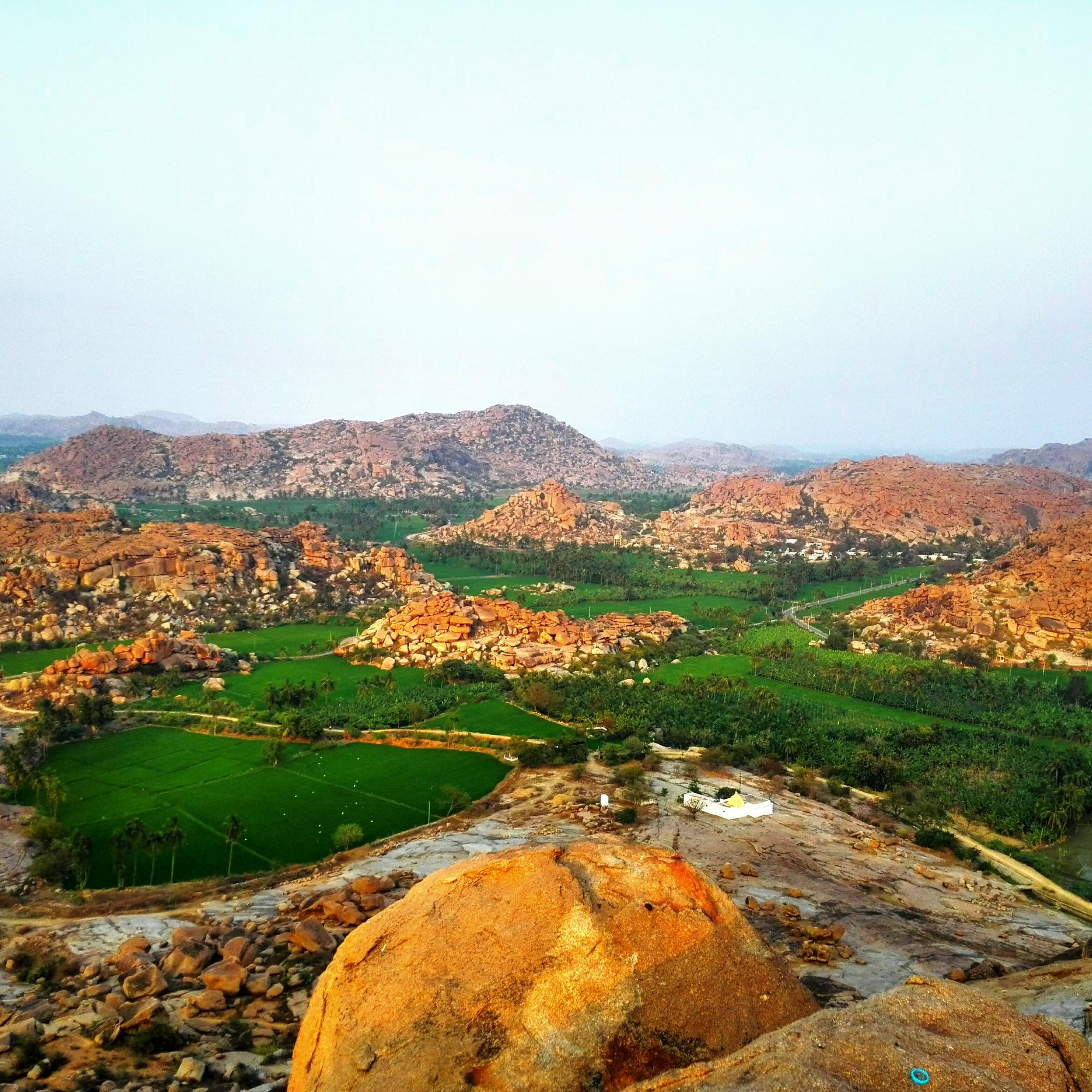 نحوه خرید مدرک تحصیلی در کردستان