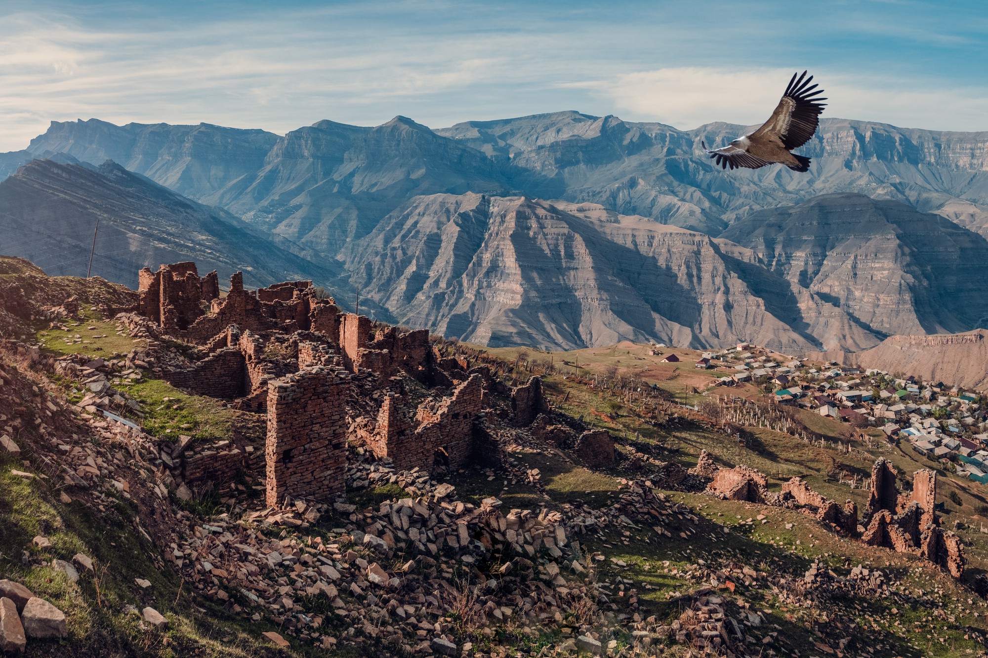 دلایل خرید مدرک تحصیلی در کردستان 