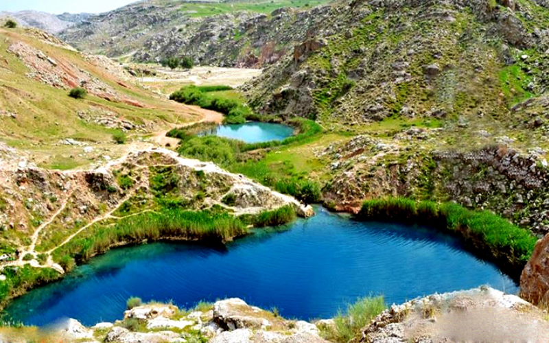 خرید مدرک تحصیلی در ایلام 